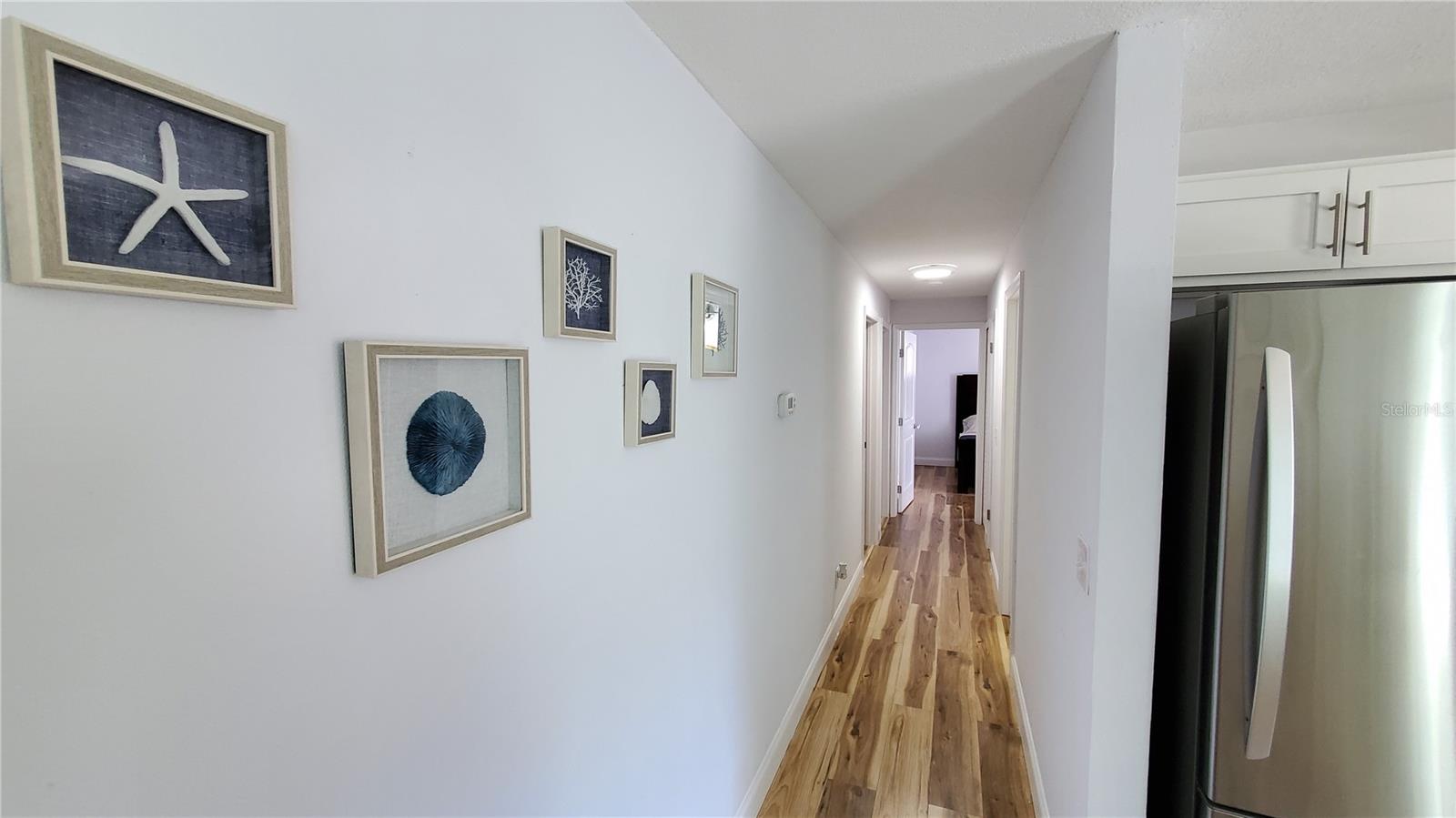 Image 9 of 19 For 6 Hopkins Street