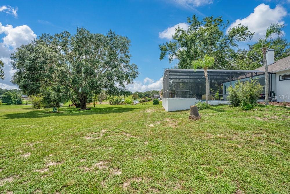 Image 24 of 31 For 15802 Thoroughbred Lane