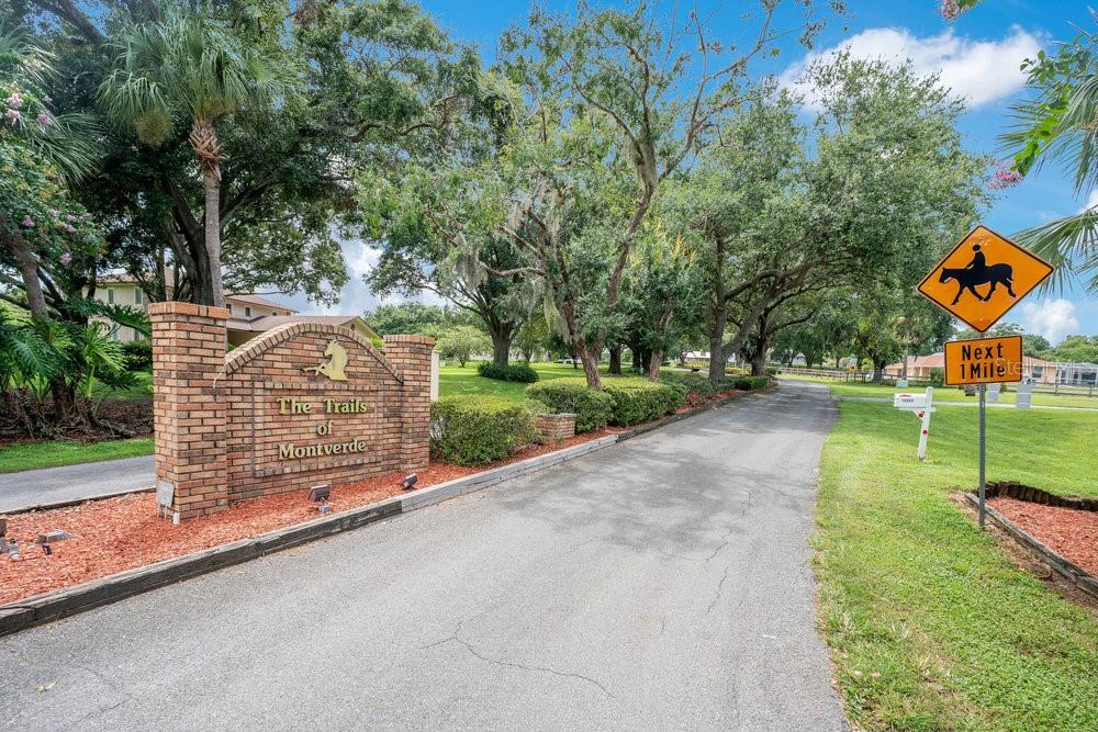Image 30 of 31 For 15802 Thoroughbred Lane