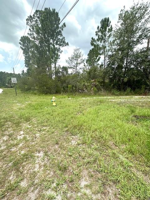 Image 8 of 14 For 2098 Laredo Drive