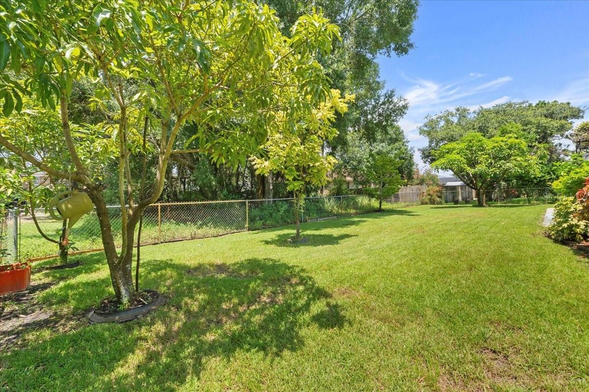 Image 24 of 25 For 20575 Nettleton St