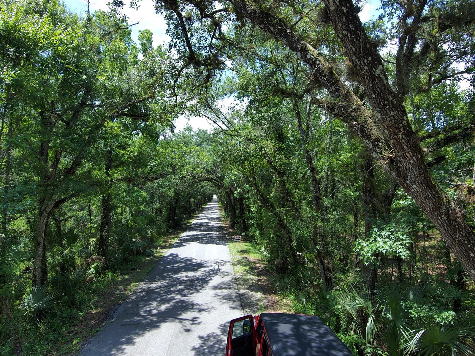 Image 3 of 4 For 651 County Road 13