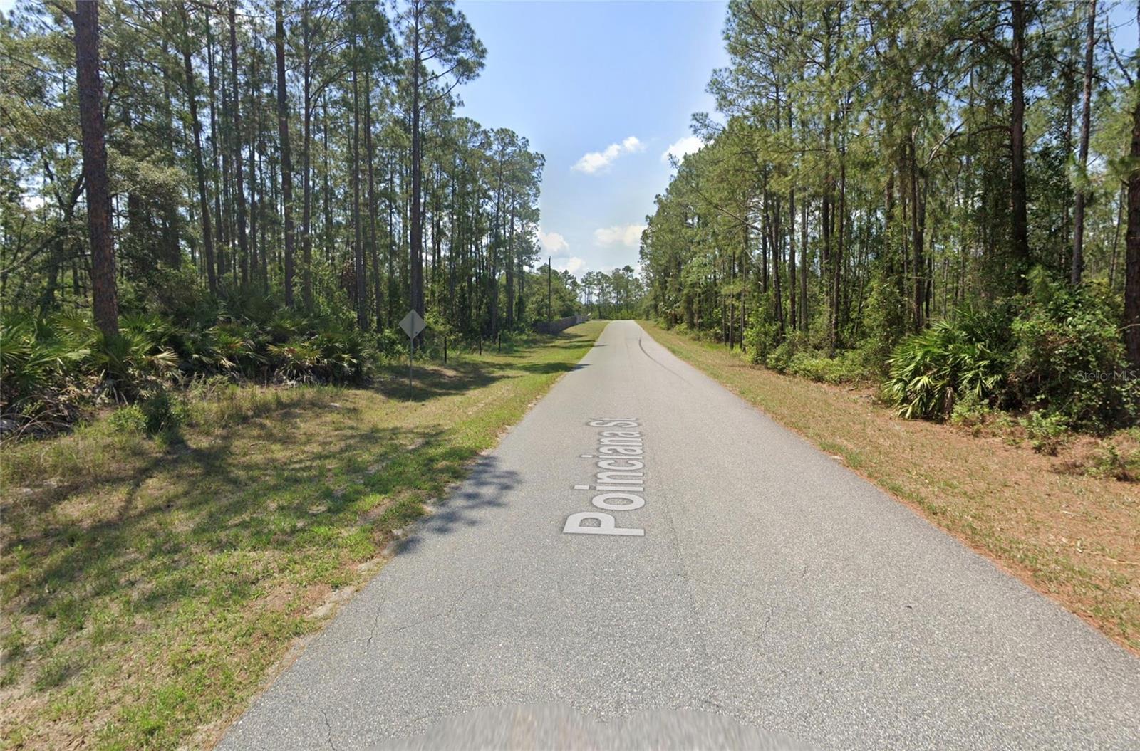 Image 2 of 6 For Poinciana Street