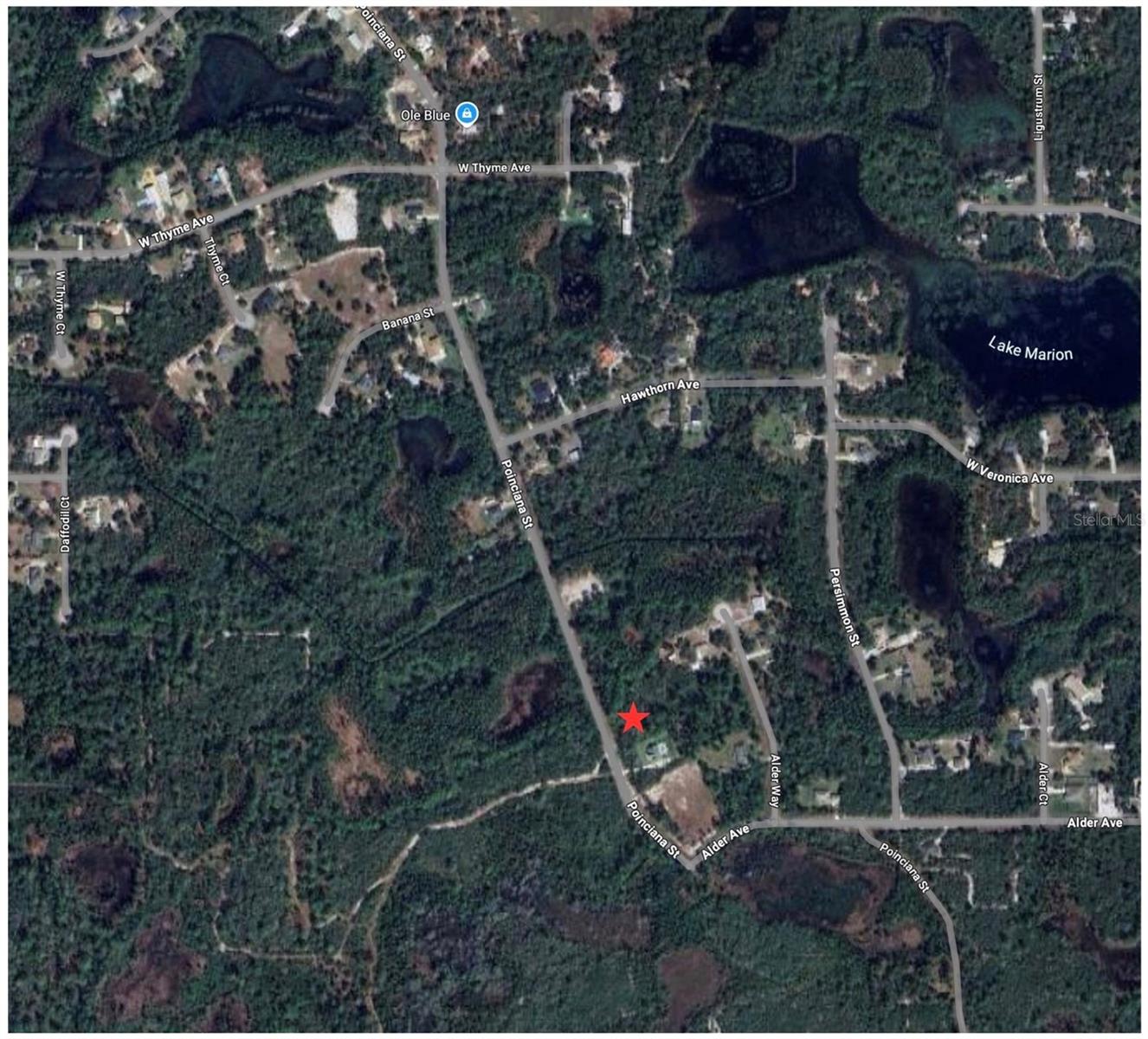 Image 4 of 6 For Poinciana Street