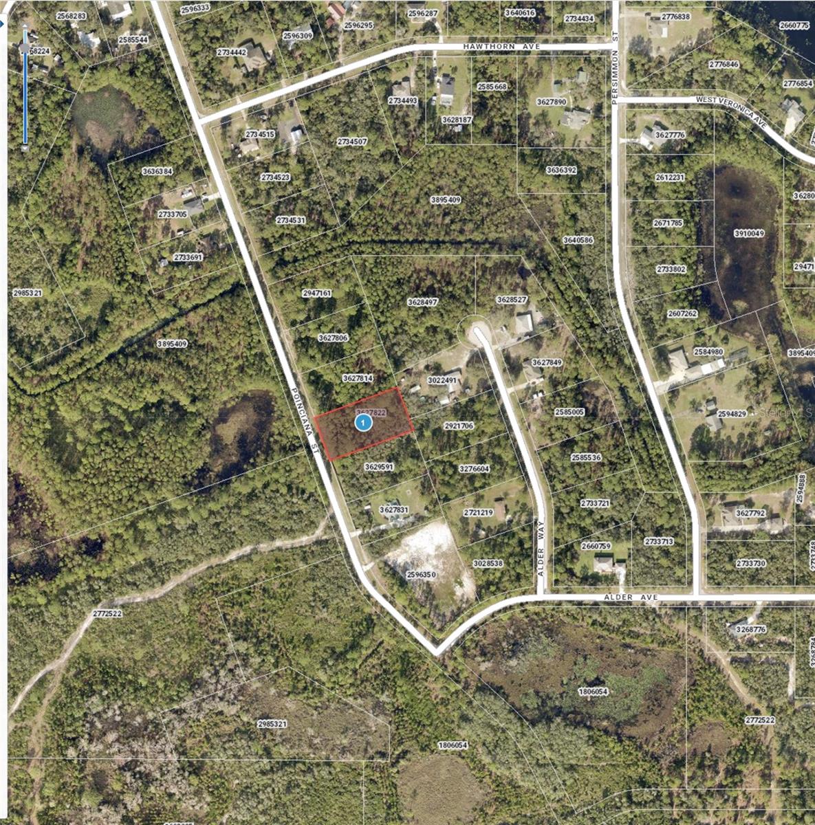 Image 6 of 6 For Poinciana Street