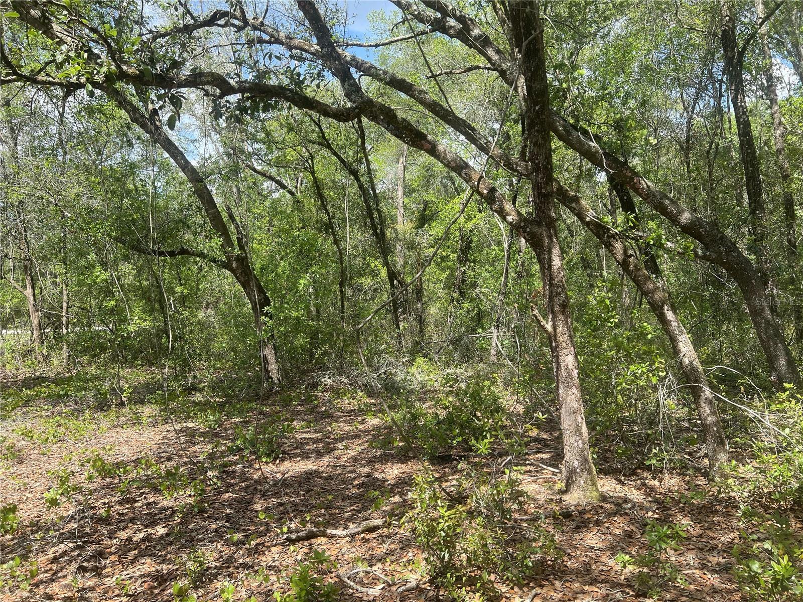 Details for 2205 Adams Street, INVERNESS, FL 34453