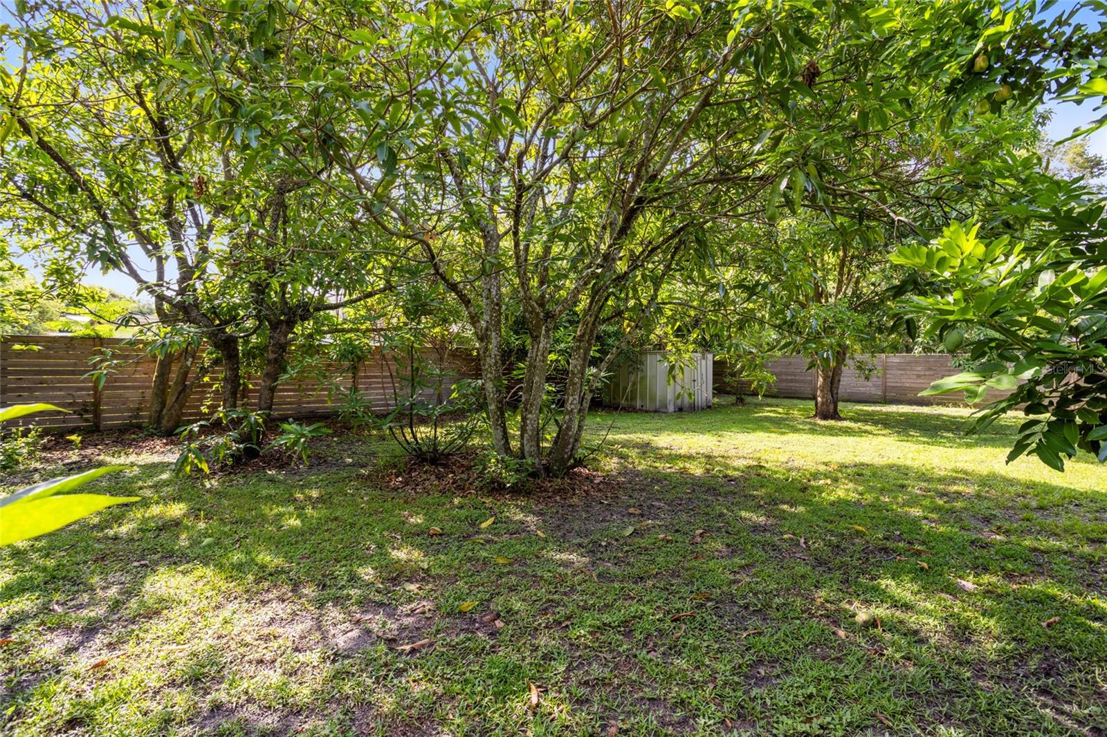Image 36 of 39 For 539 Tampa Avenue