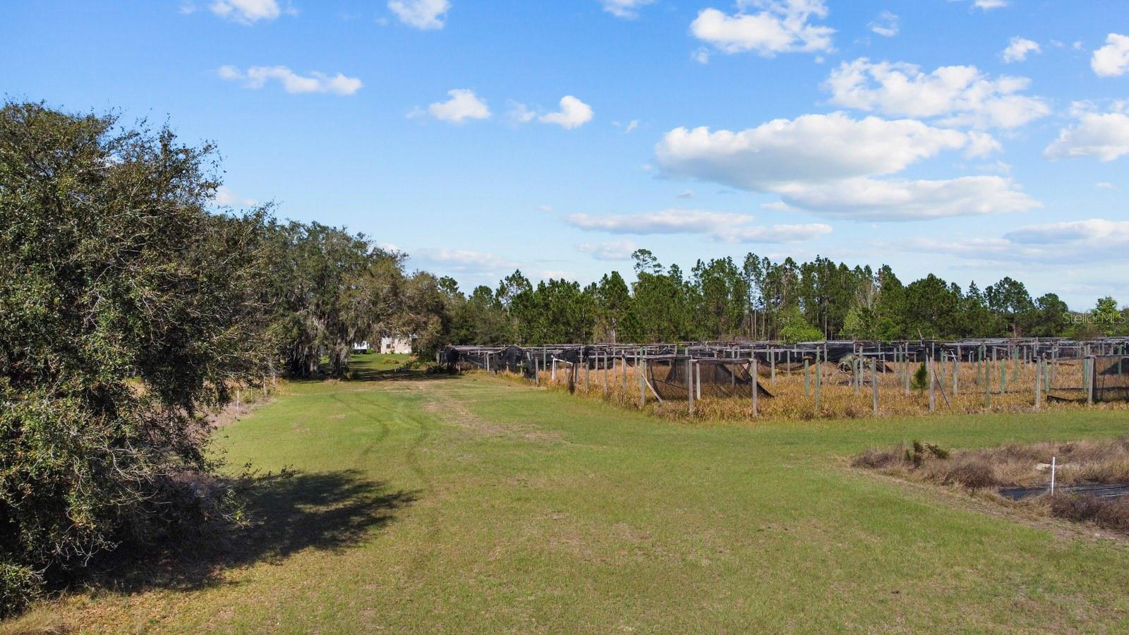 Image 14 of 80 For 8122 Pine Island Road