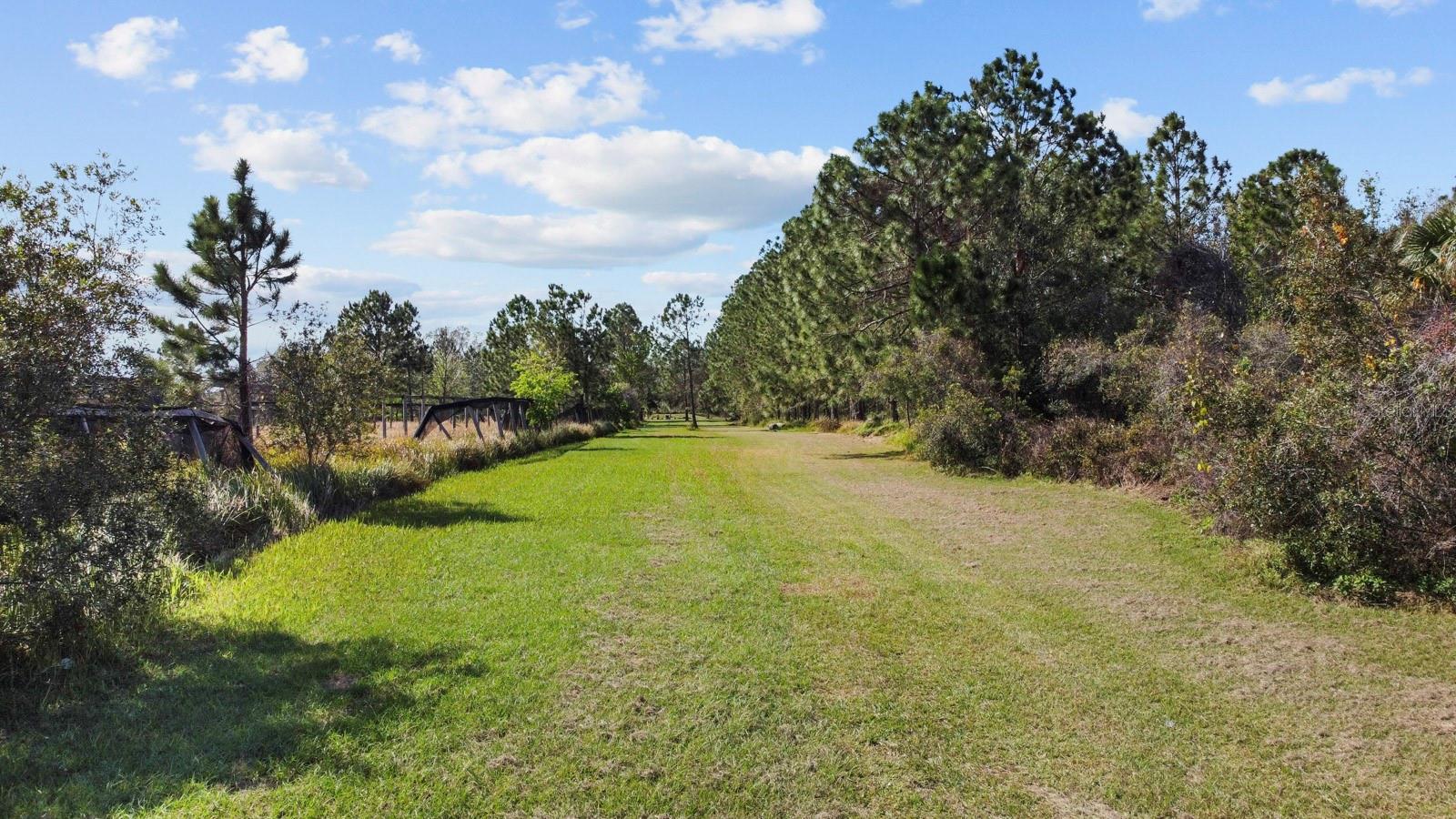 Image 17 of 80 For 8122 Pine Island Road