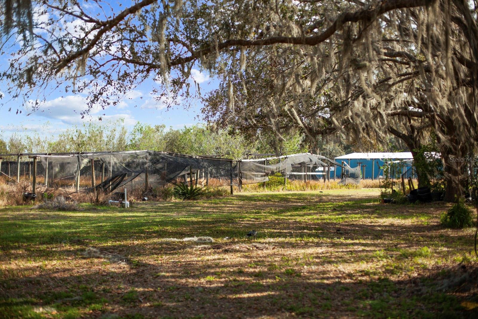 Image 31 of 80 For 8122 Pine Island Road