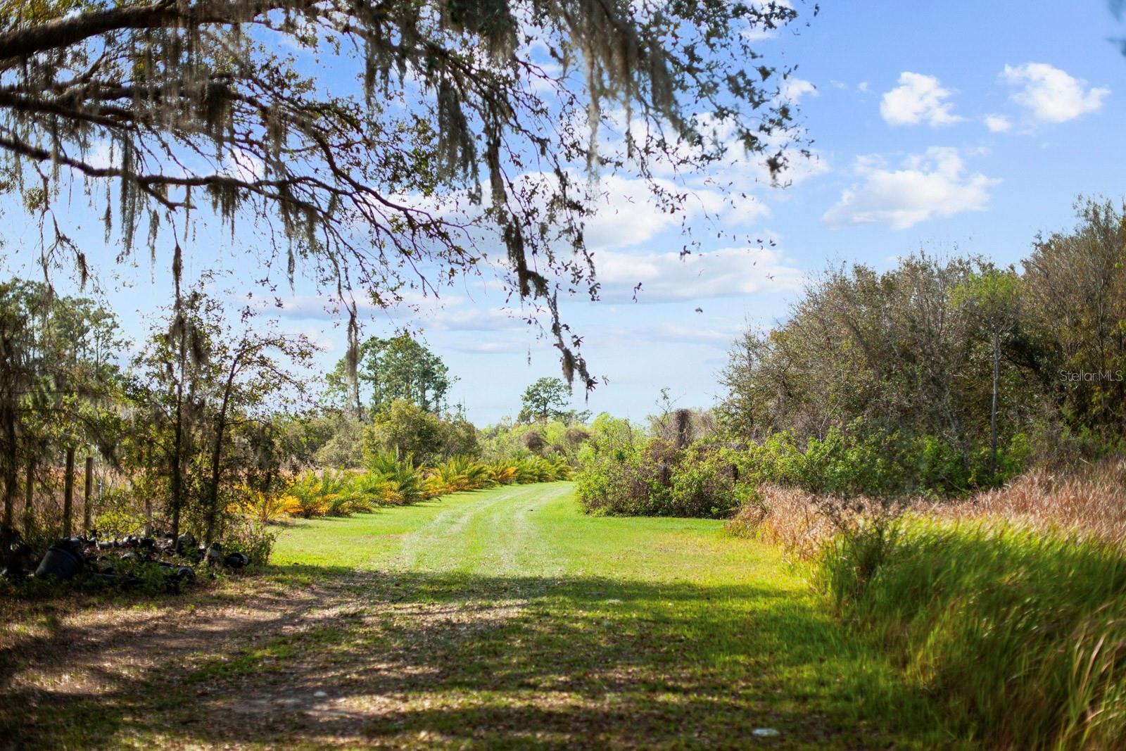 Image 33 of 80 For 8122 Pine Island Road