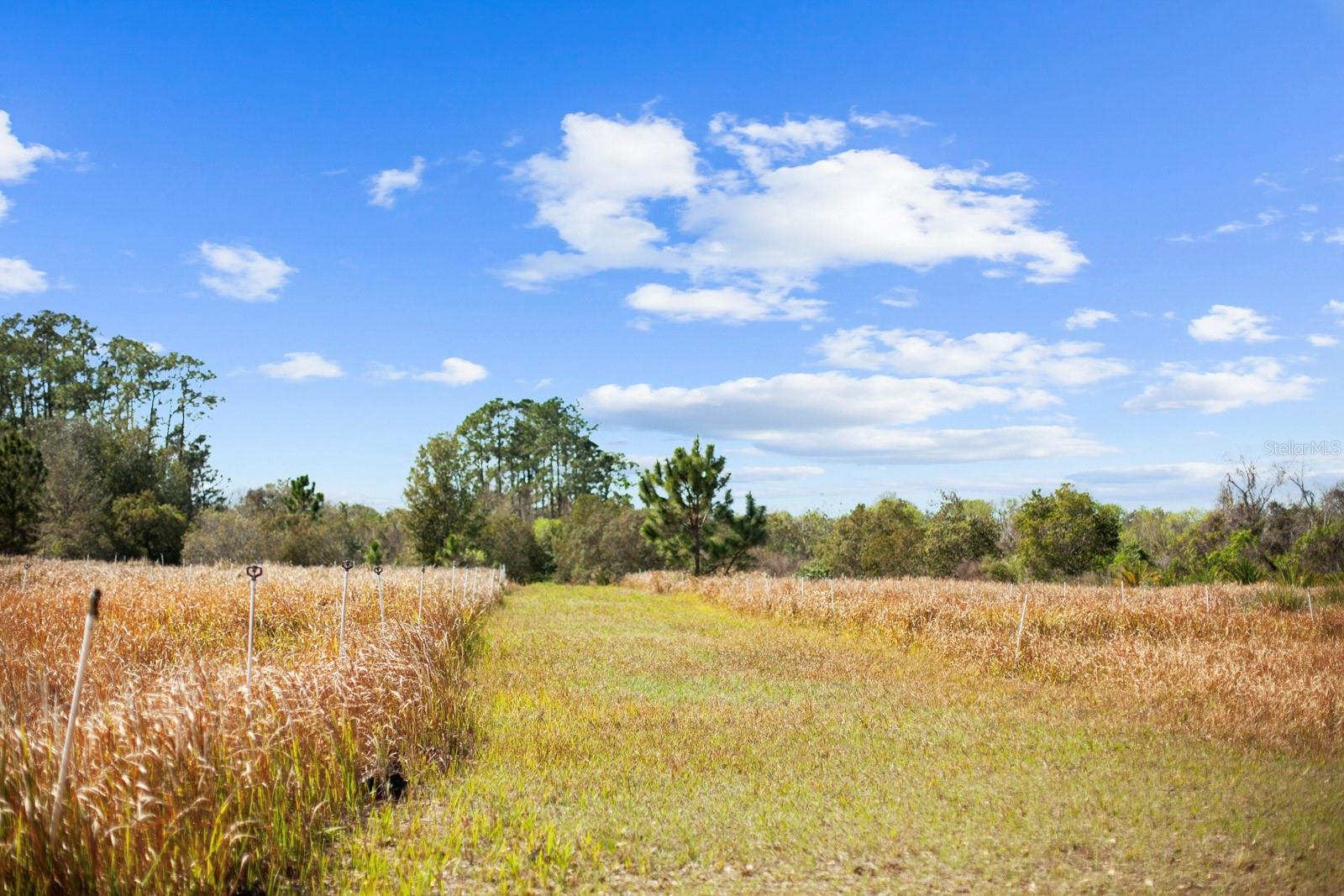 Image 34 of 80 For 8122 Pine Island Road