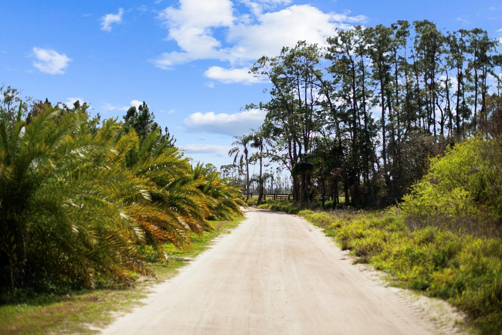 Image 36 of 80 For 8122 Pine Island Road