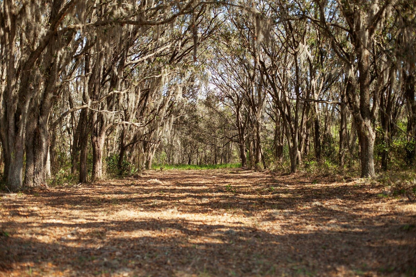 Image 39 of 80 For 8122 Pine Island Road