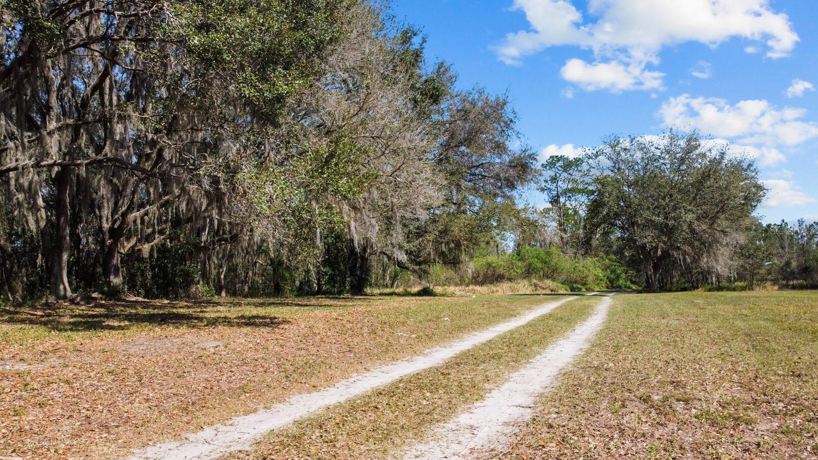 Image 41 of 80 For 8122 Pine Island Road