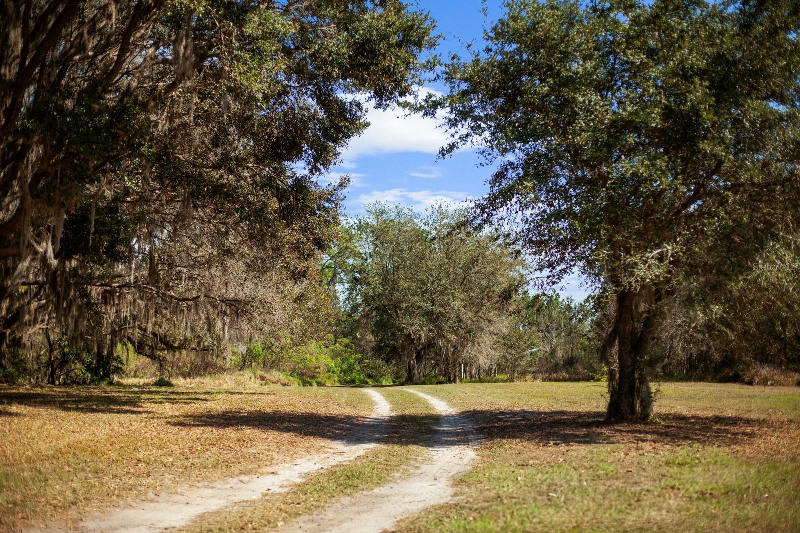 Image 5 of 80 For 8122 Pine Island Road