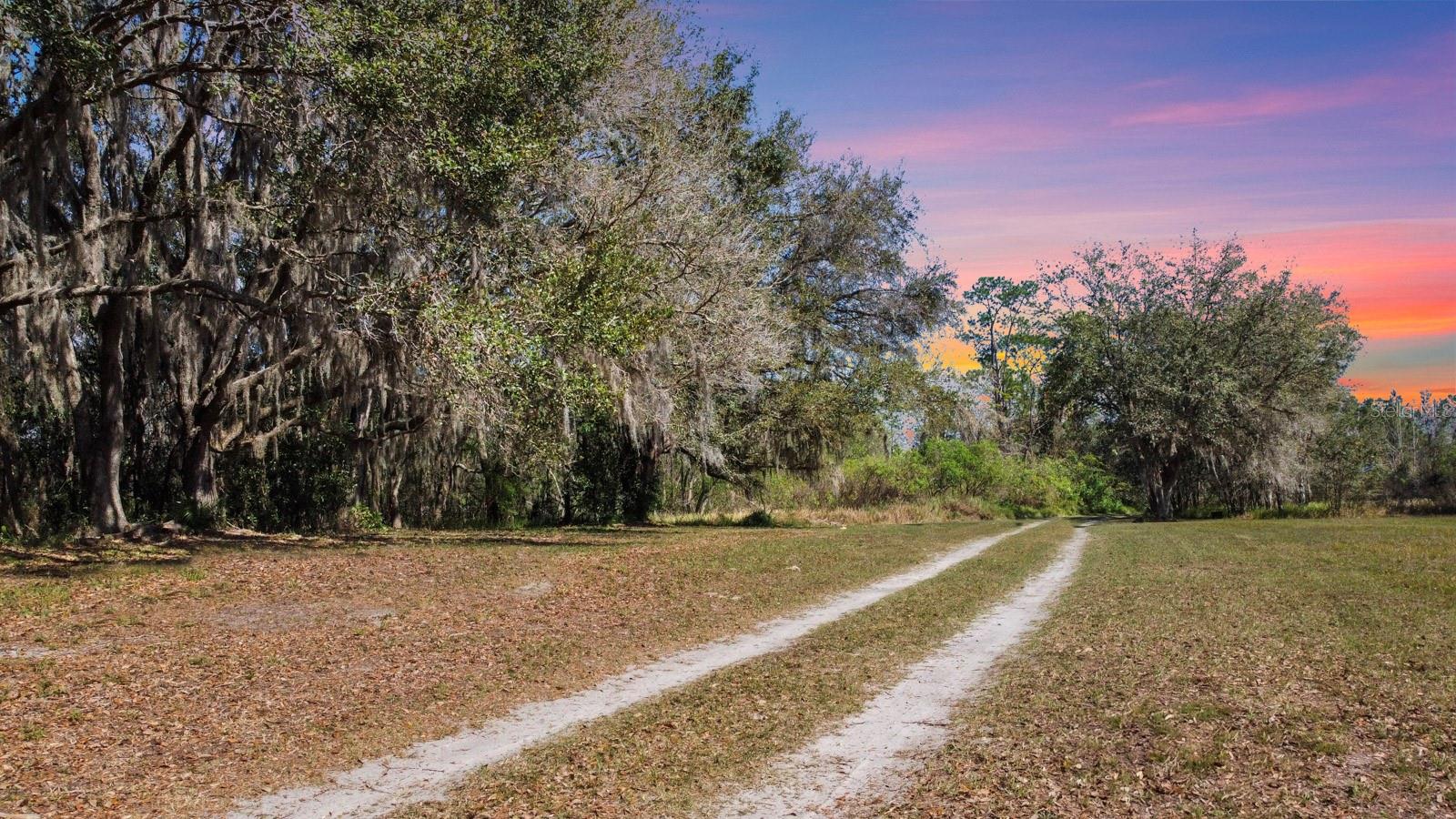 Image 6 of 80 For 8122 Pine Island Road