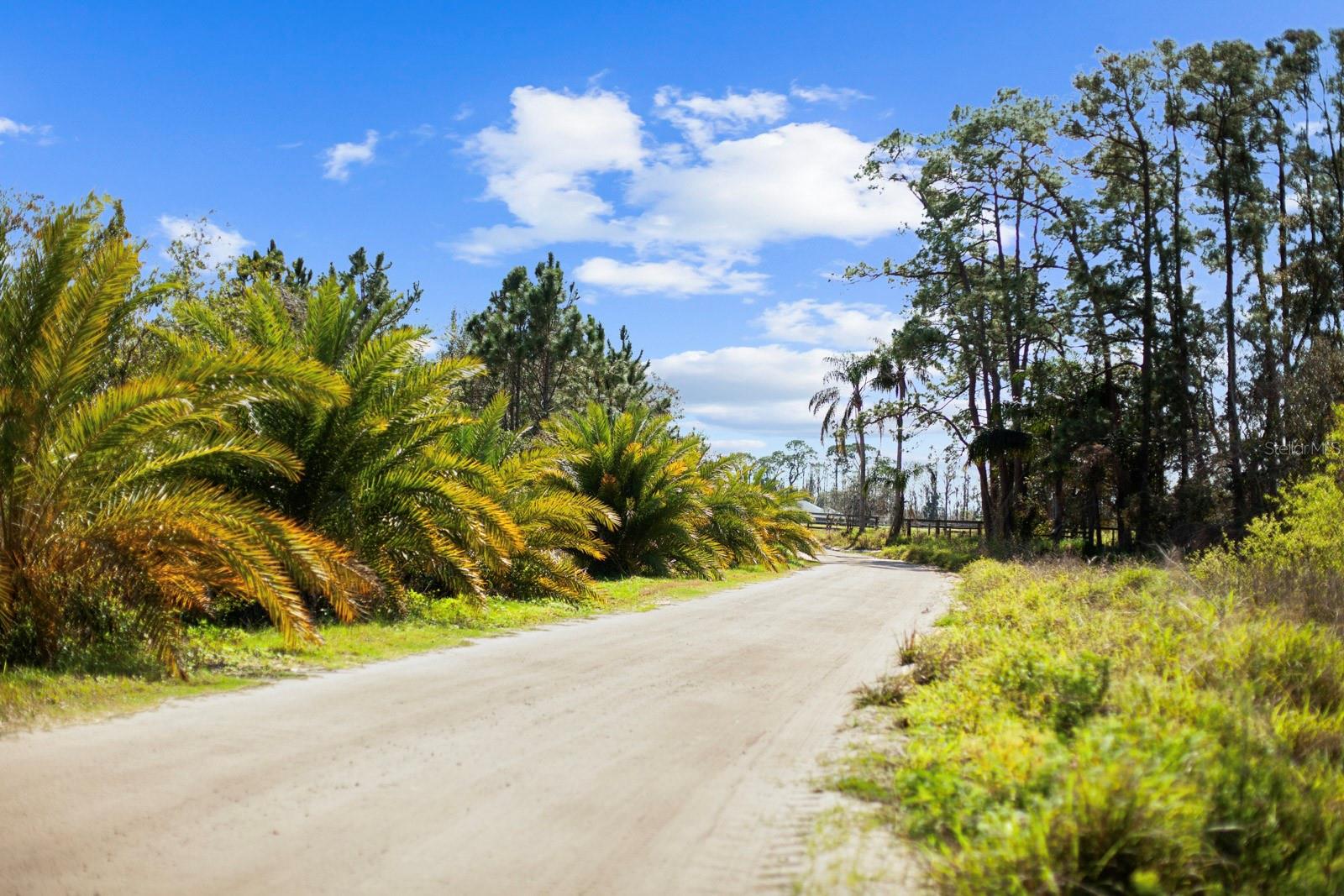 Image 7 of 80 For 8122 Pine Island Road