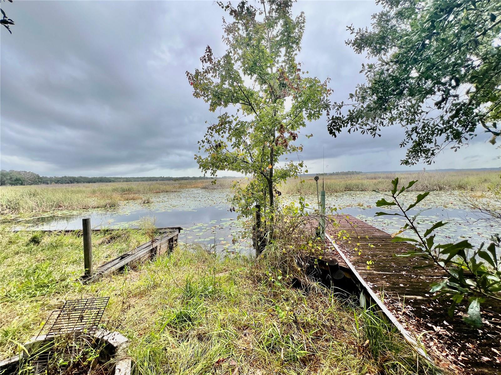 Details for 23422 154th Place Road, FORT MC COY, FL 32134