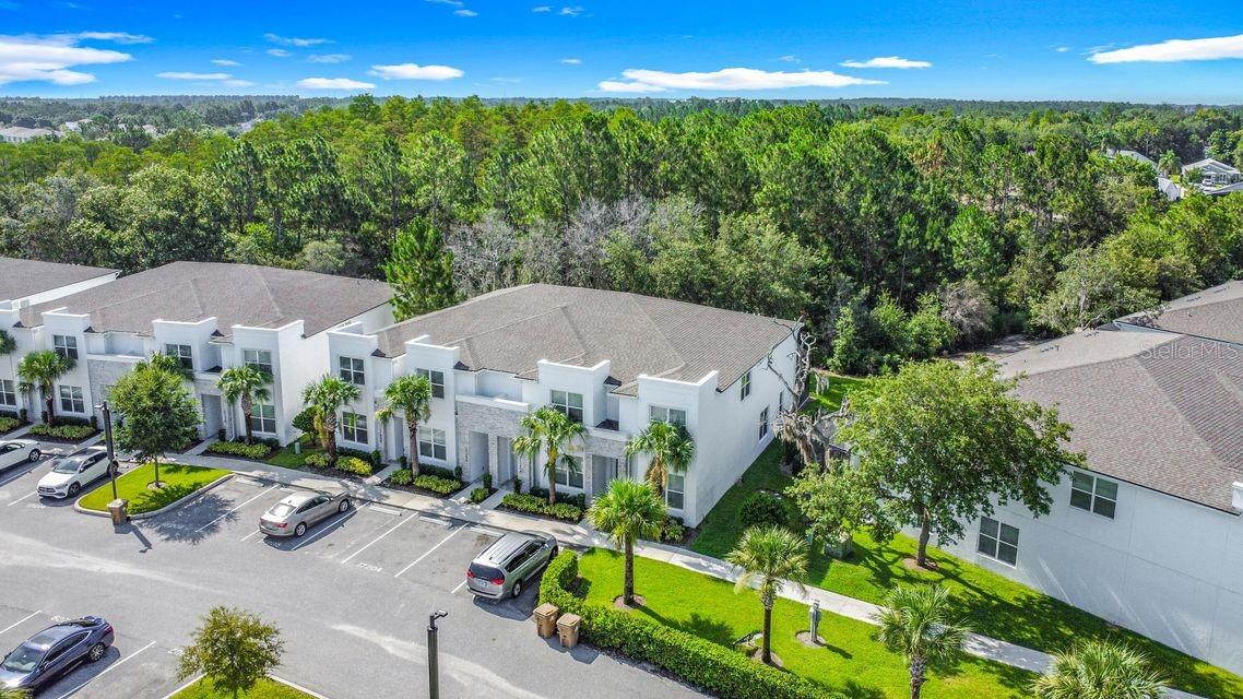 Details for 17204 Blessing Drive, CLERMONT, FL 34714