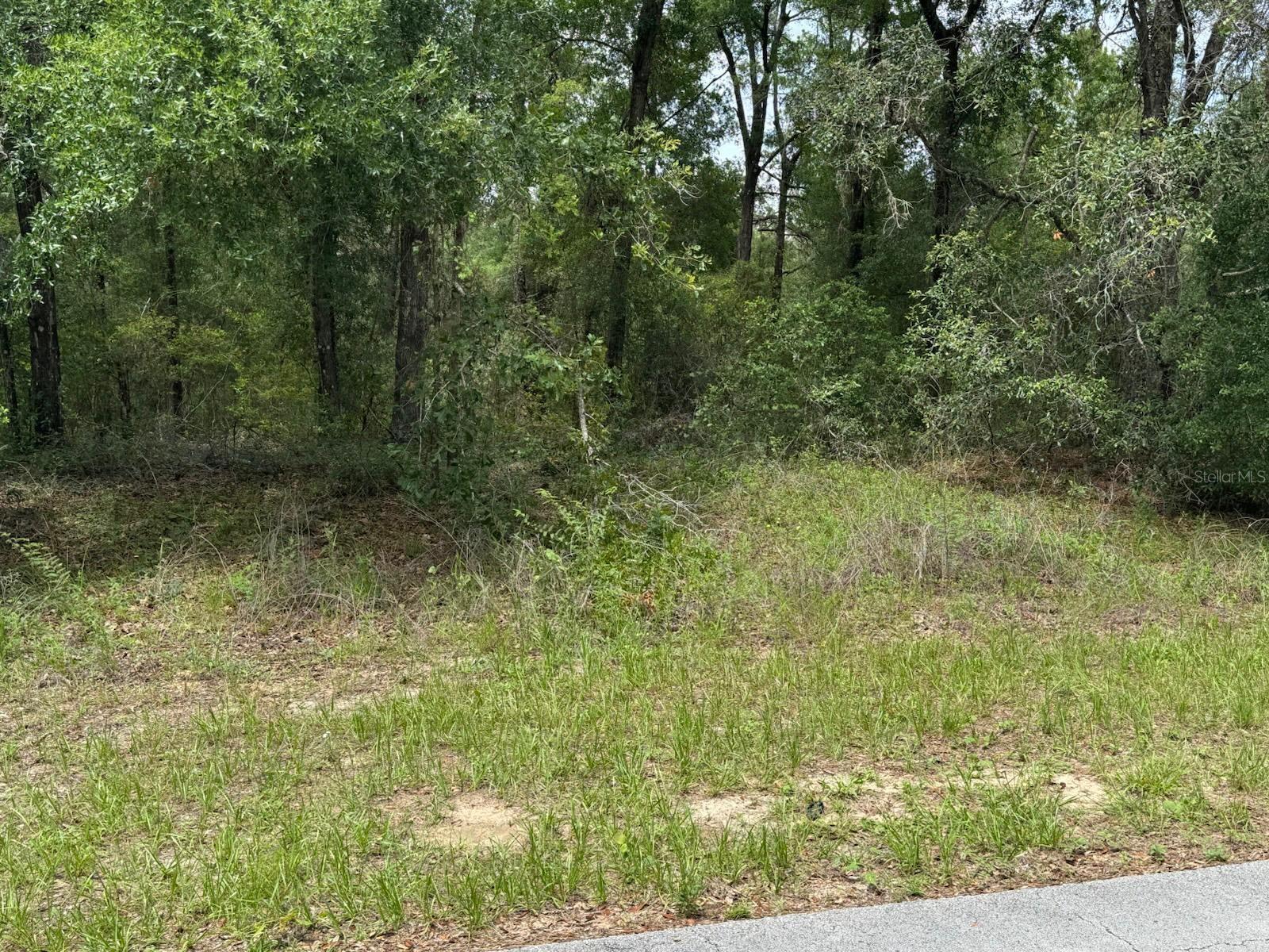 Listing photo id 2 for 361 Elgrove Drive