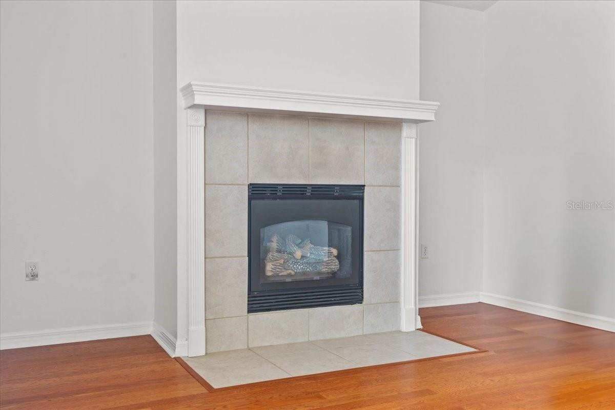 Image 23 of 46 For 274 Palmetto Springs Street
