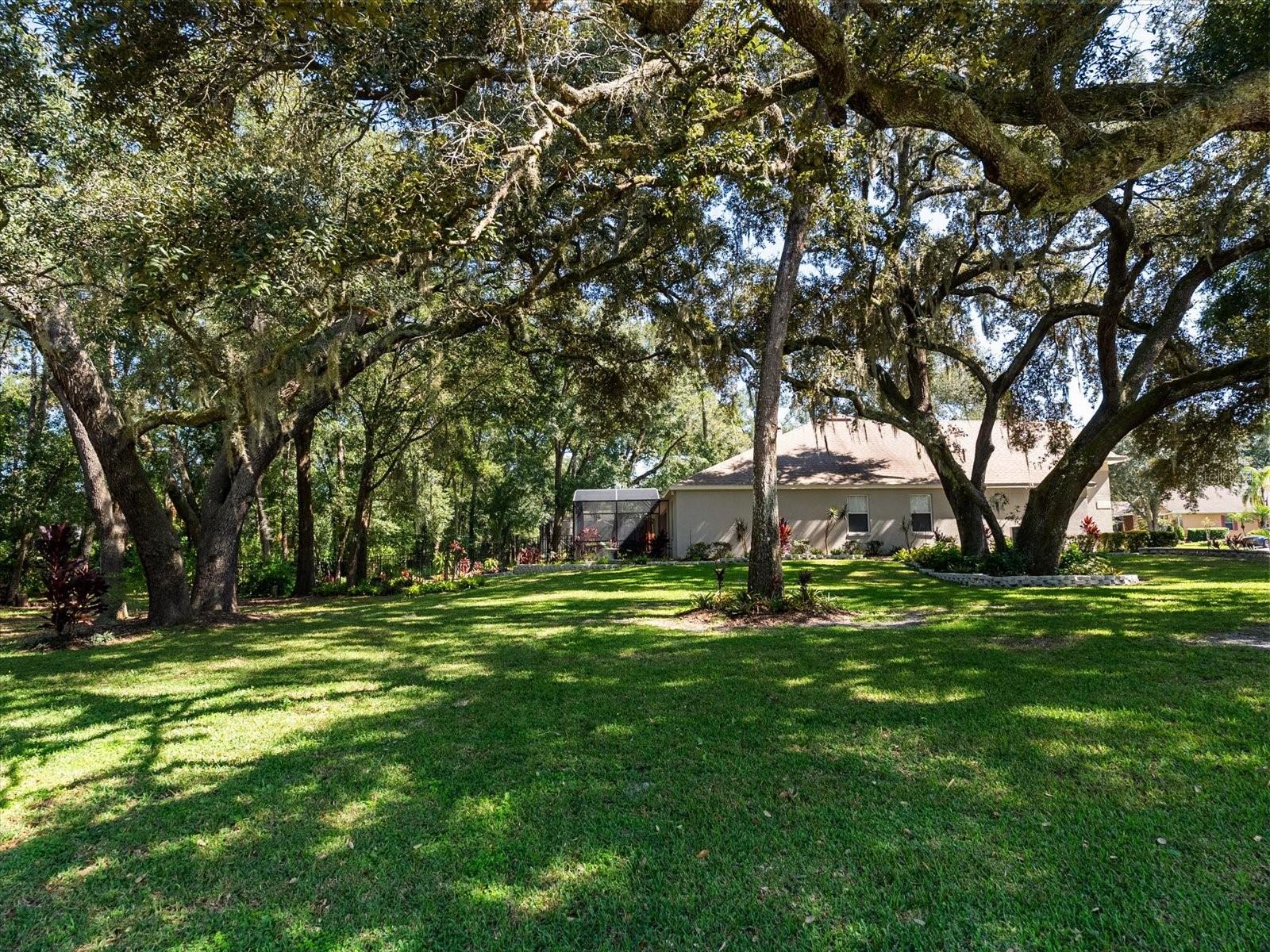 Image 45 of 57 For 597 Sand Wedge Loop