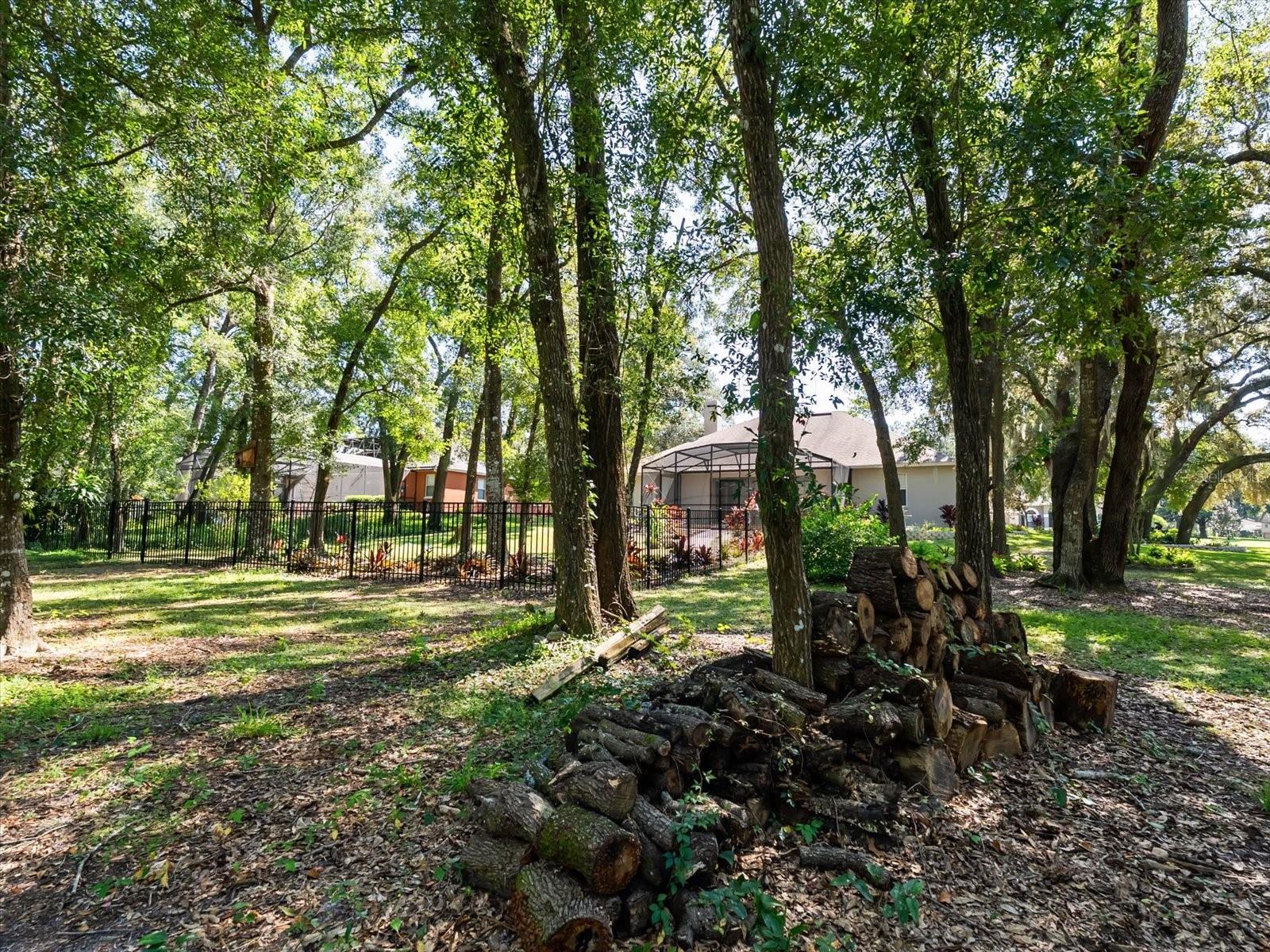 Image 47 of 57 For 597 Sand Wedge Loop