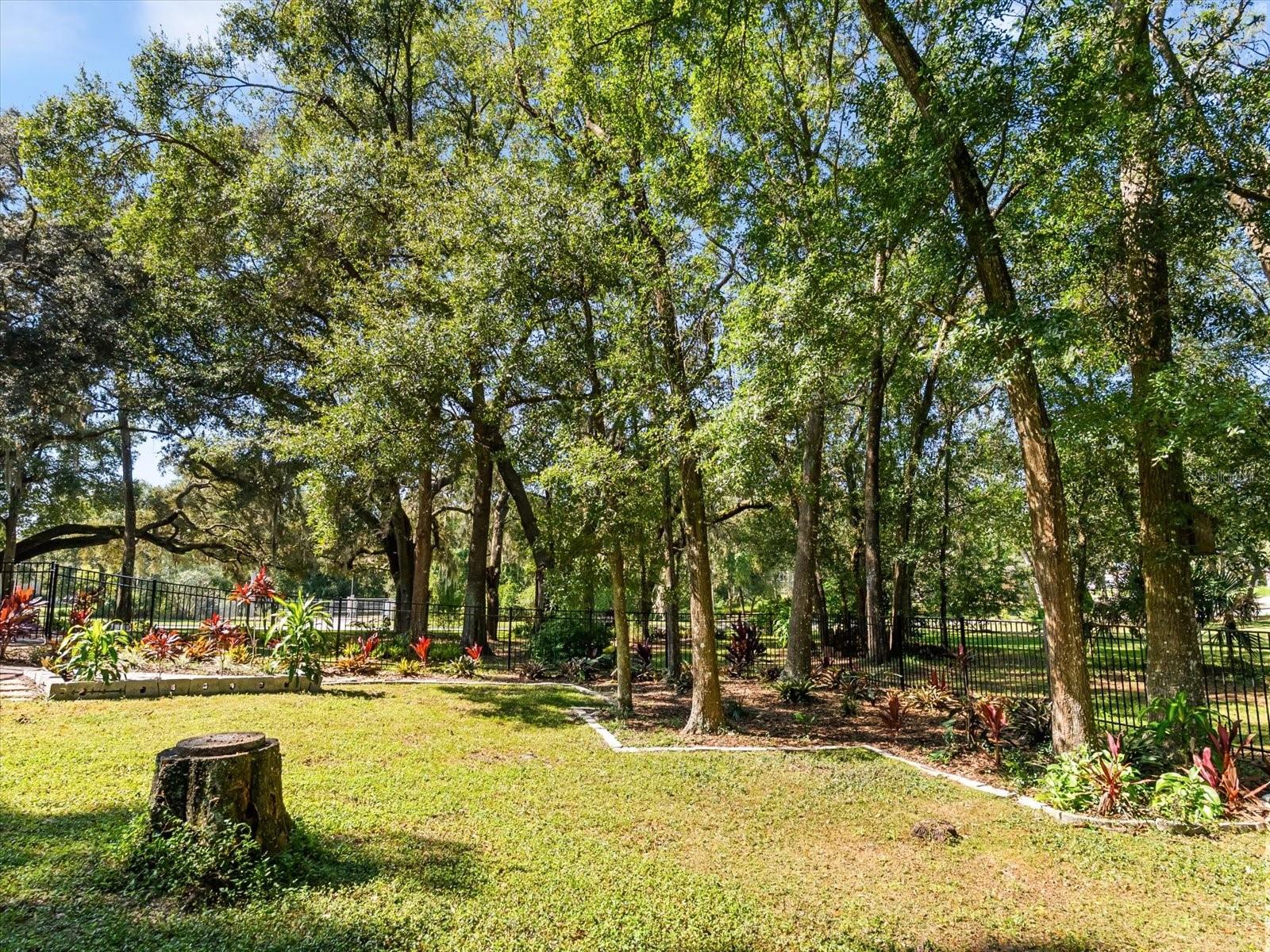 Image 52 of 57 For 597 Sand Wedge Loop