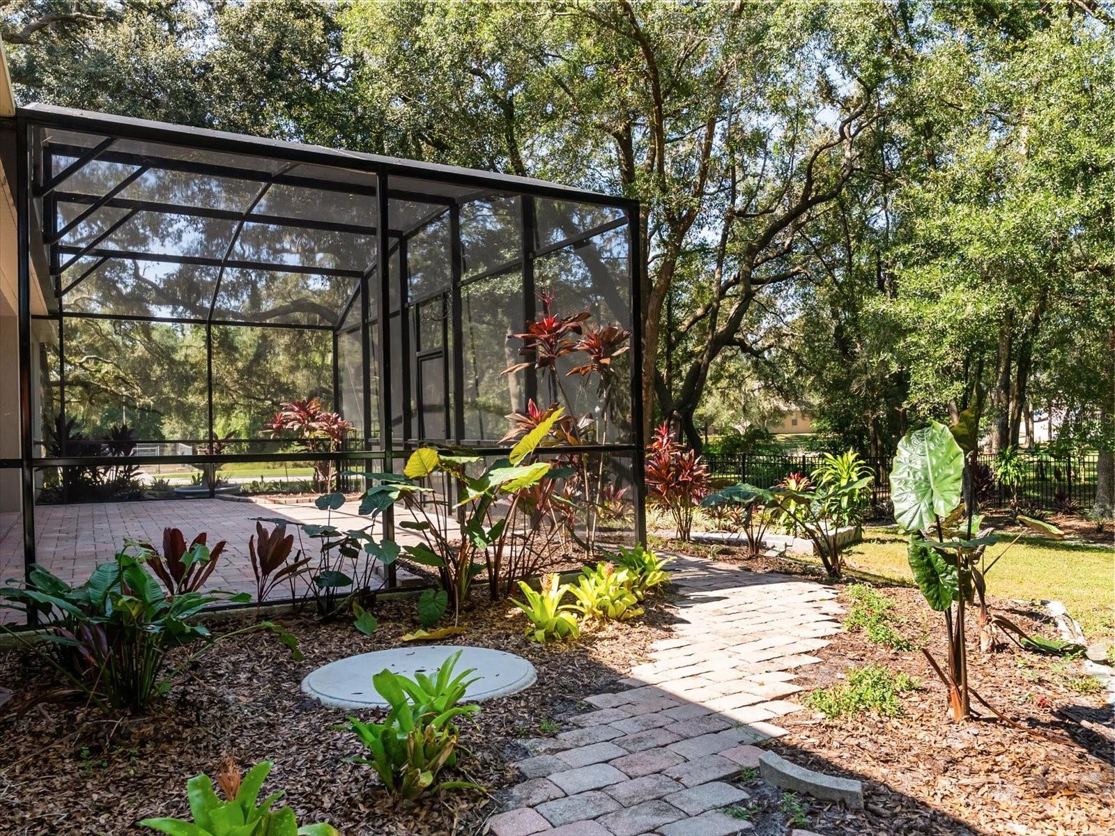 Image 54 of 57 For 597 Sand Wedge Loop