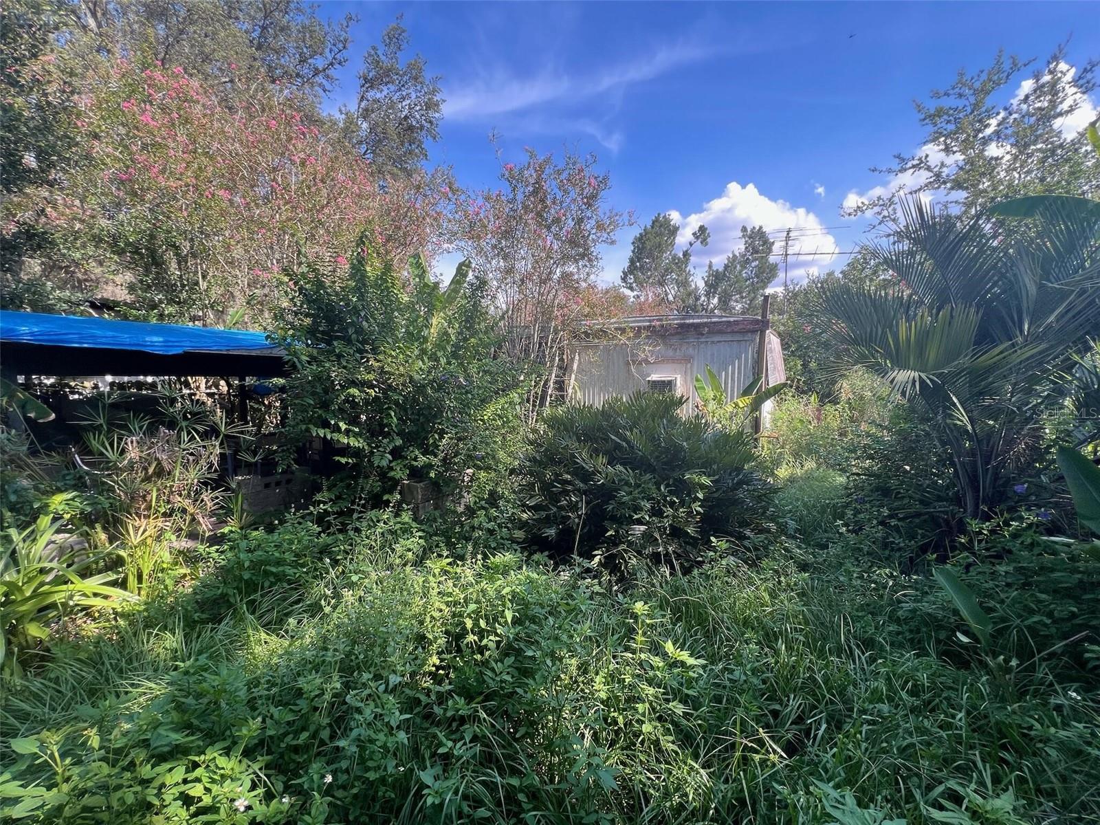 Image 6 of 7 For 38323 Palm Grove Drive