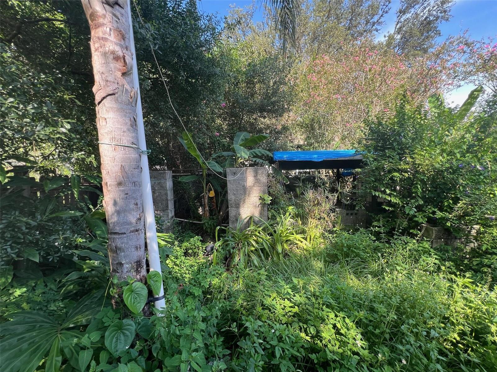 Image 7 of 7 For 38323 Palm Grove Drive