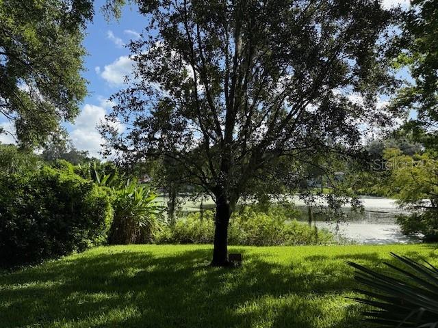 Image 4 of 16 For 449 Forestwood Lane
