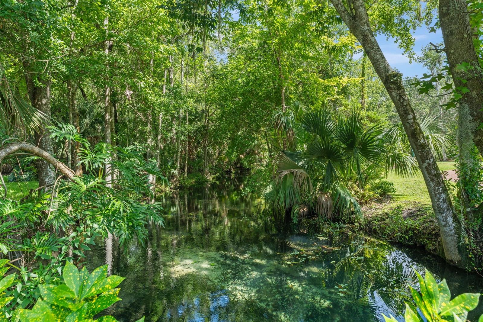 Image 45 of 51 For 942 Deerwood Loop
