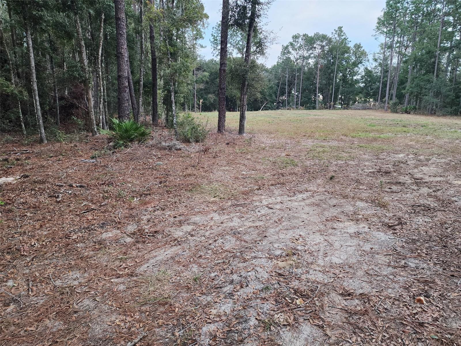Details for 12864 41st Place, OCALA, FL 34481
