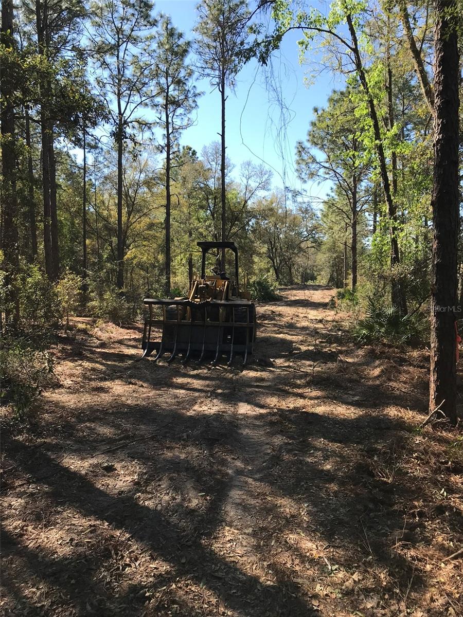 Image 6 of 25 For 12864 41st Place
