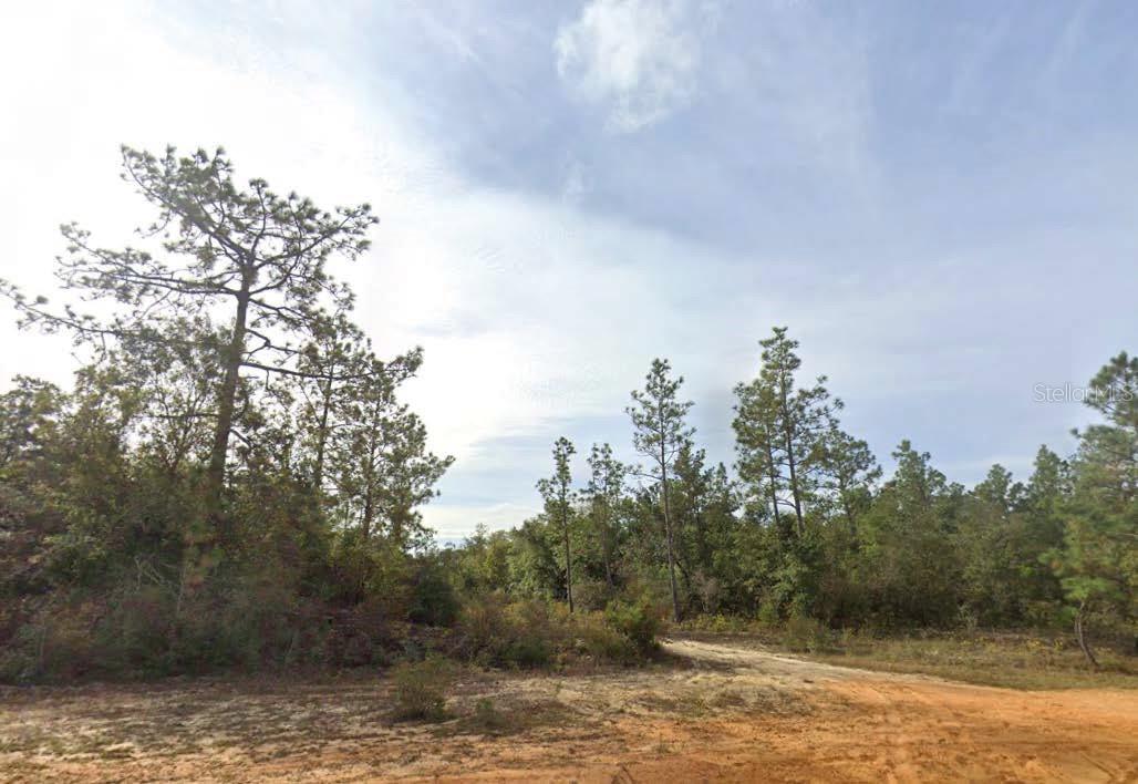 Details for  Kings Drive , CHIPLEY, FL 32428