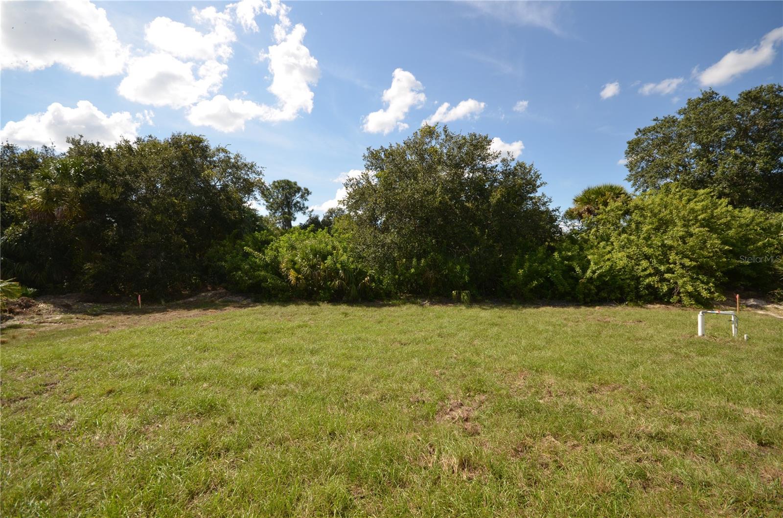 Image 43 of 45 For 272 Pelton Circle