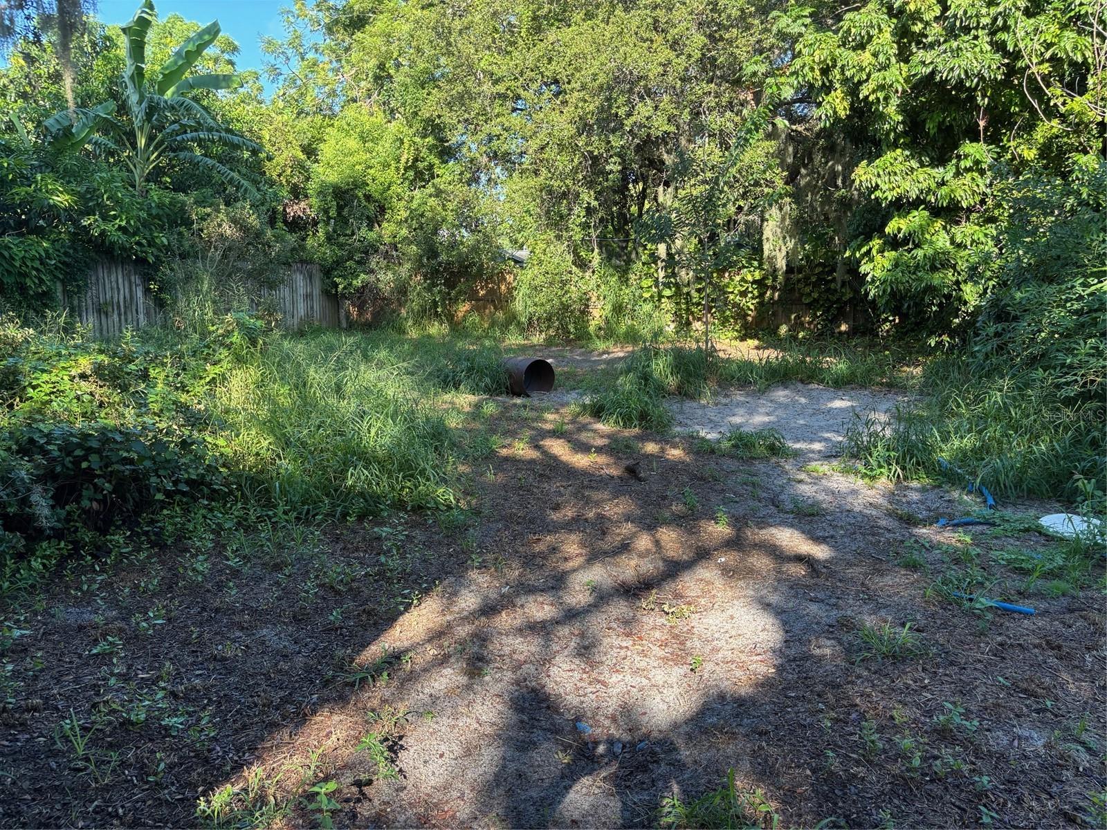 Image 11 of 12 For 244 Hastings Street