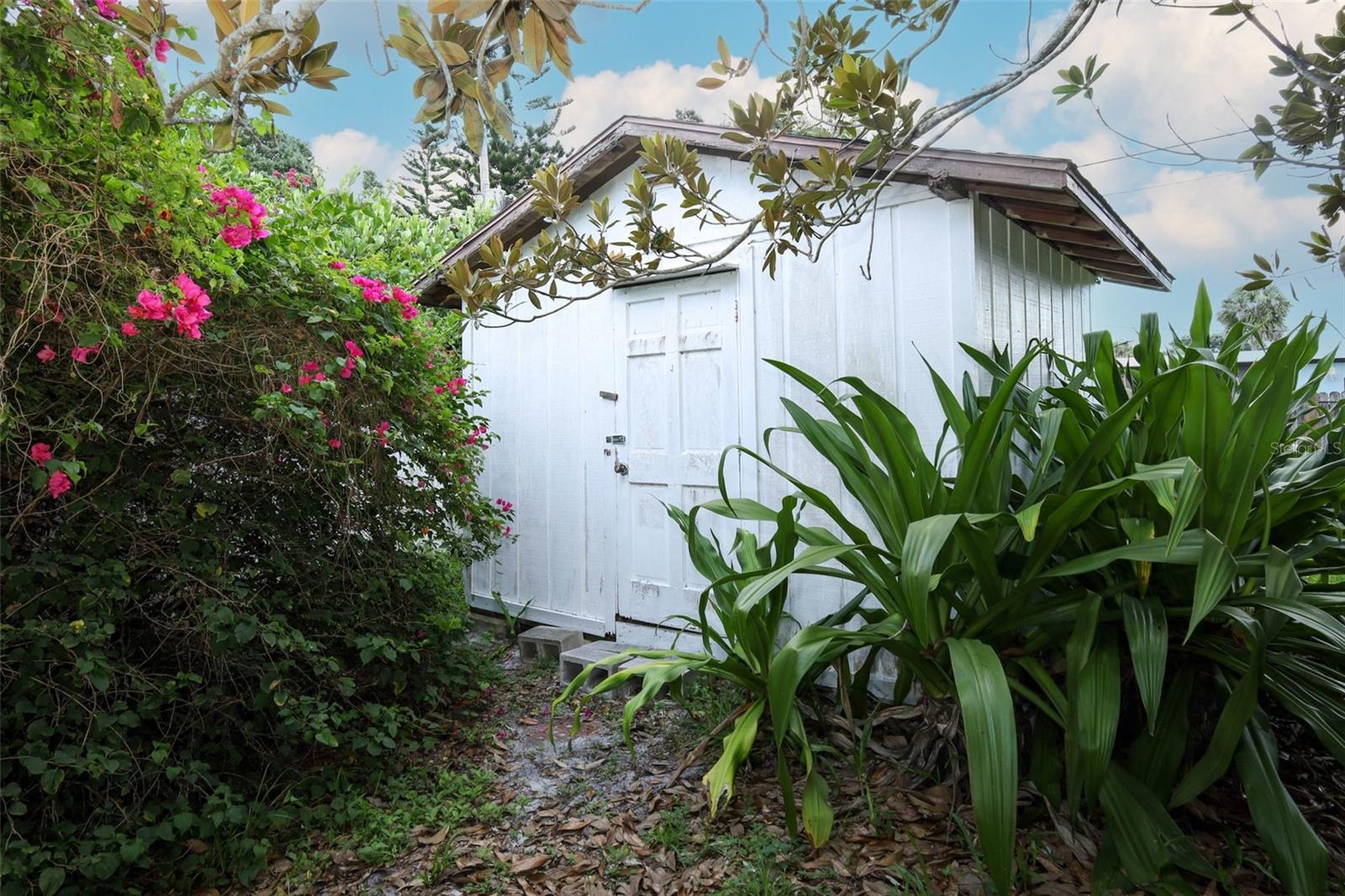 Image 36 of 47 For 904 Hall Street