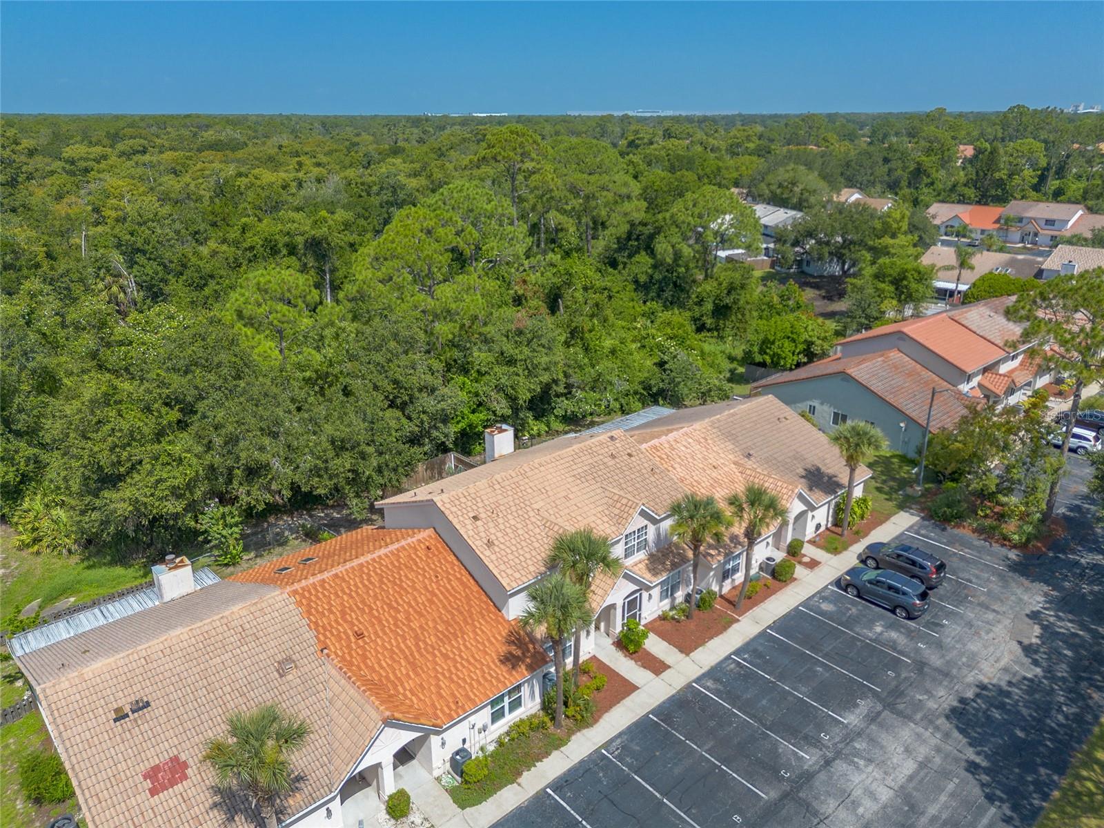 Image 30 of 36 For 3534 Forest Branch Drive C
