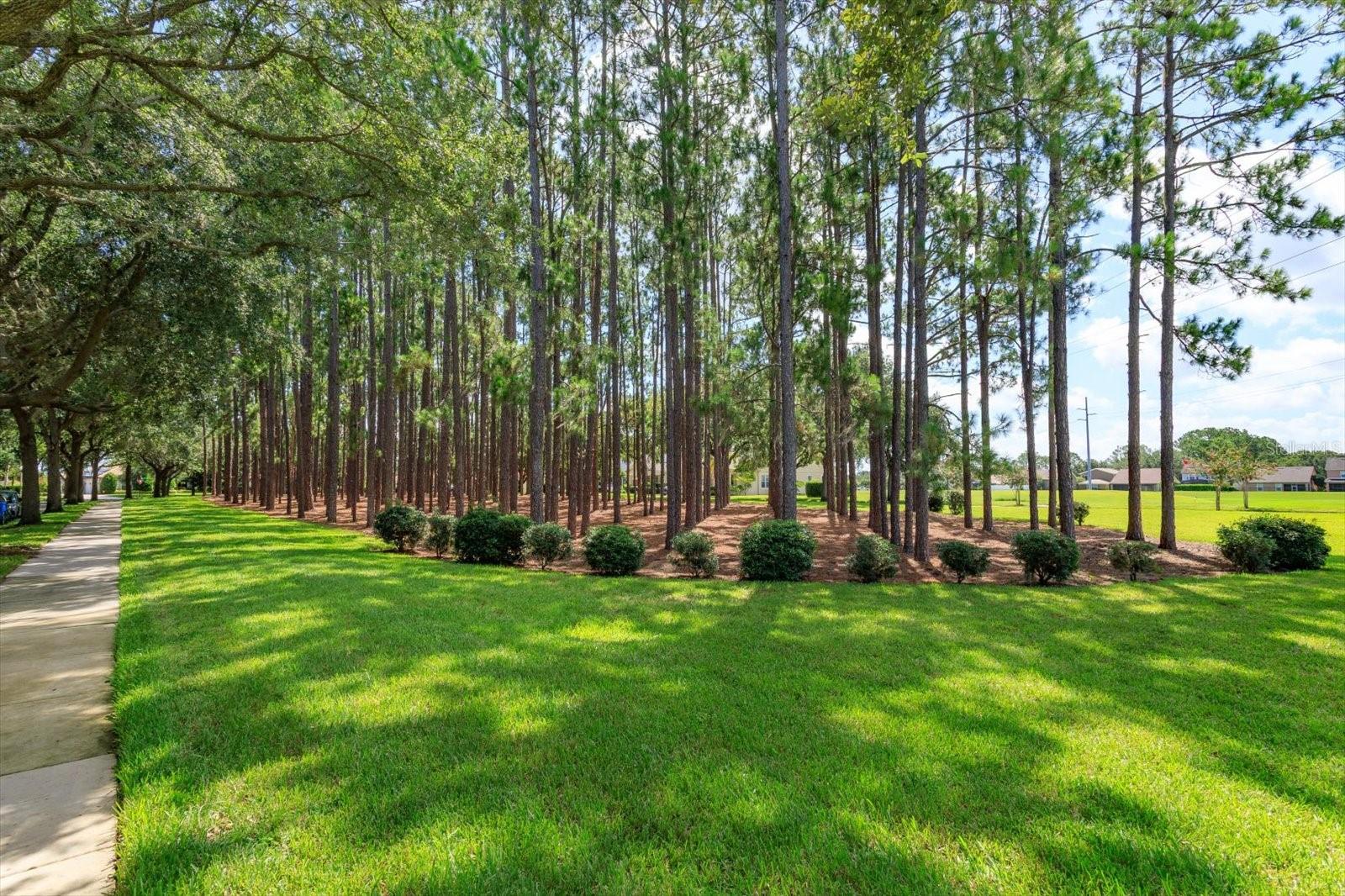Image 4 of 43 For 6830 Mapperton Drive