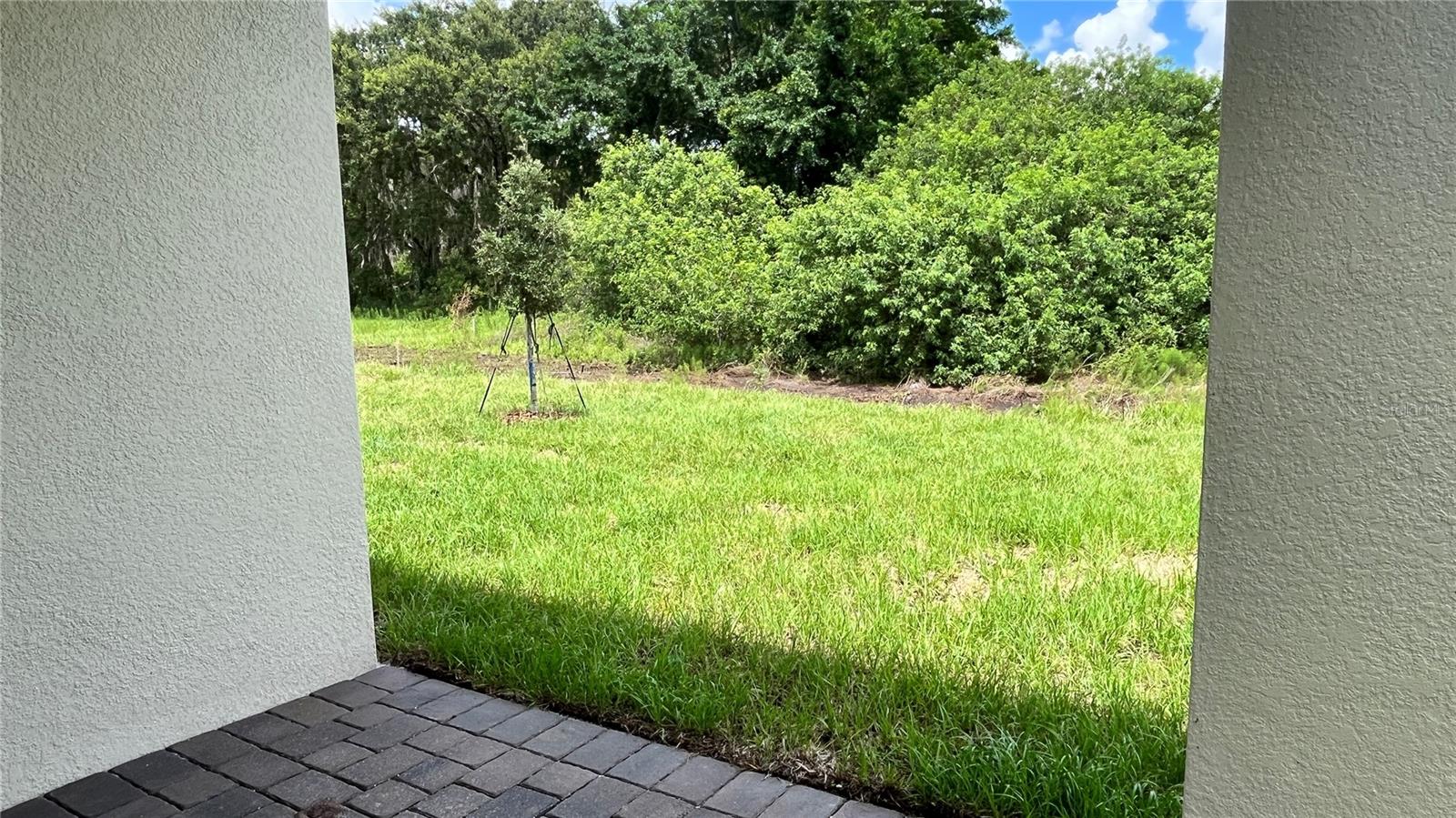 Image 21 of 30 For 2291 Mossy Vine Avenue