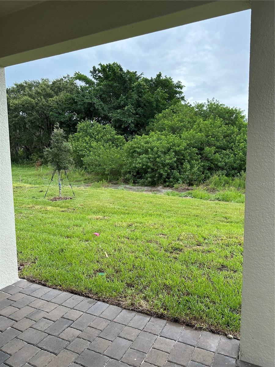 Image 23 of 30 For 2291 Mossy Vine Avenue