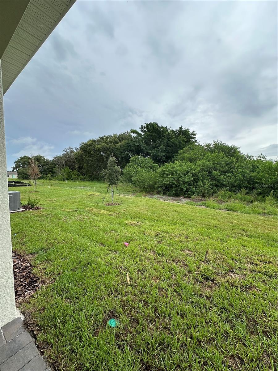 Image 24 of 30 For 2291 Mossy Vine Avenue