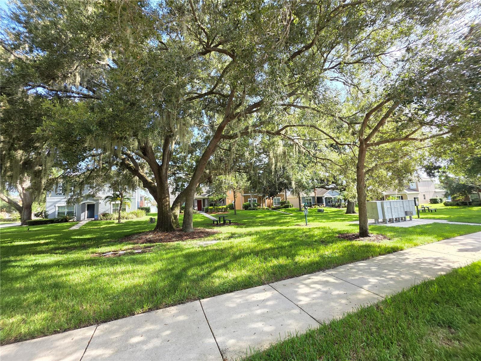 Image 33 of 49 For 909 Brandy Oaks Loop