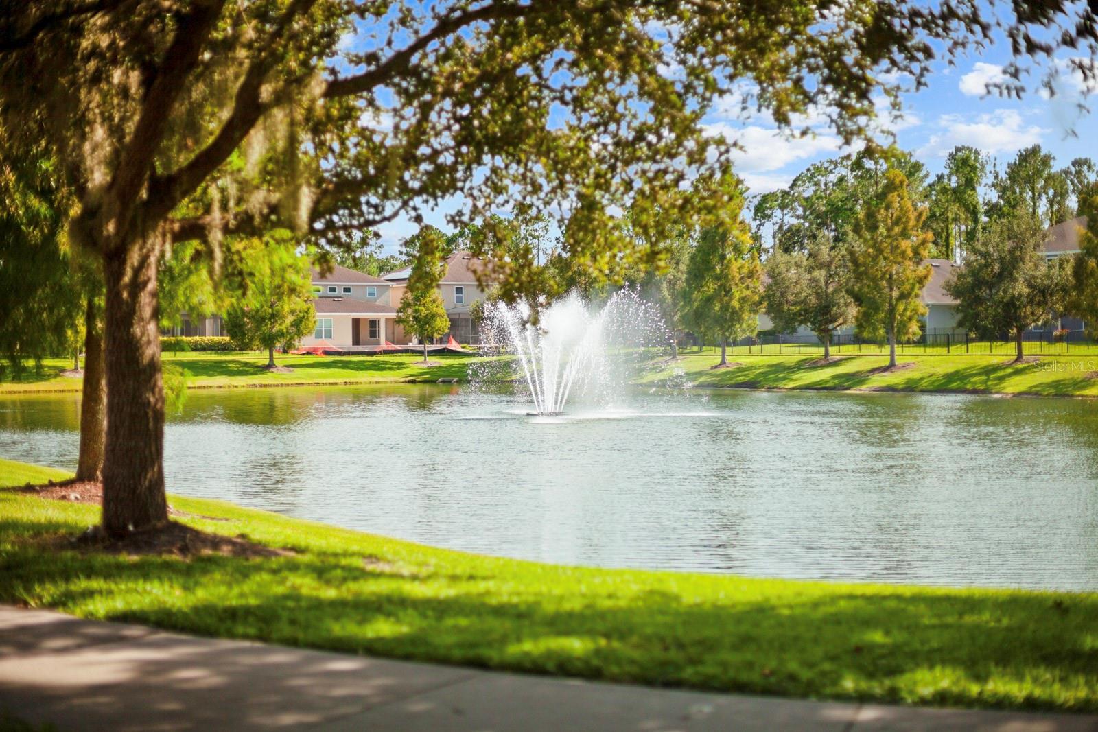 Image 4 of 72 For 1073 Vinsetta Circle