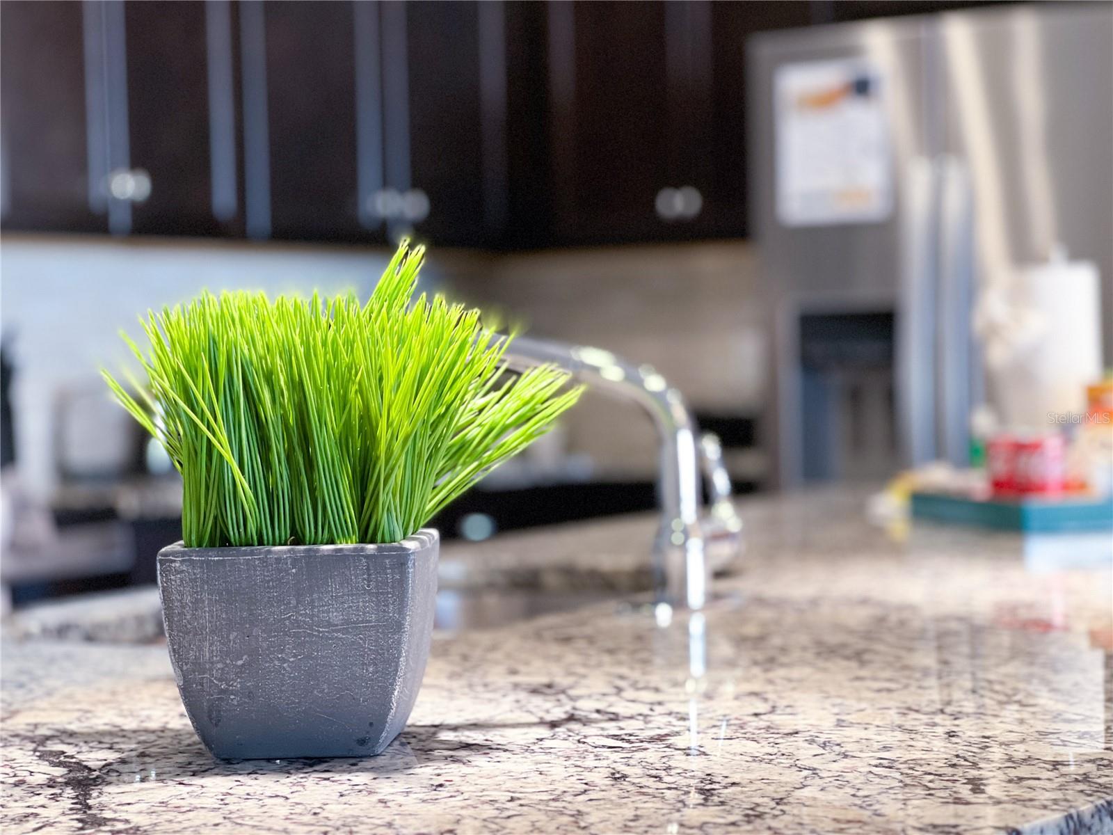 Image 10 of 56 For 2442 Dubai Street