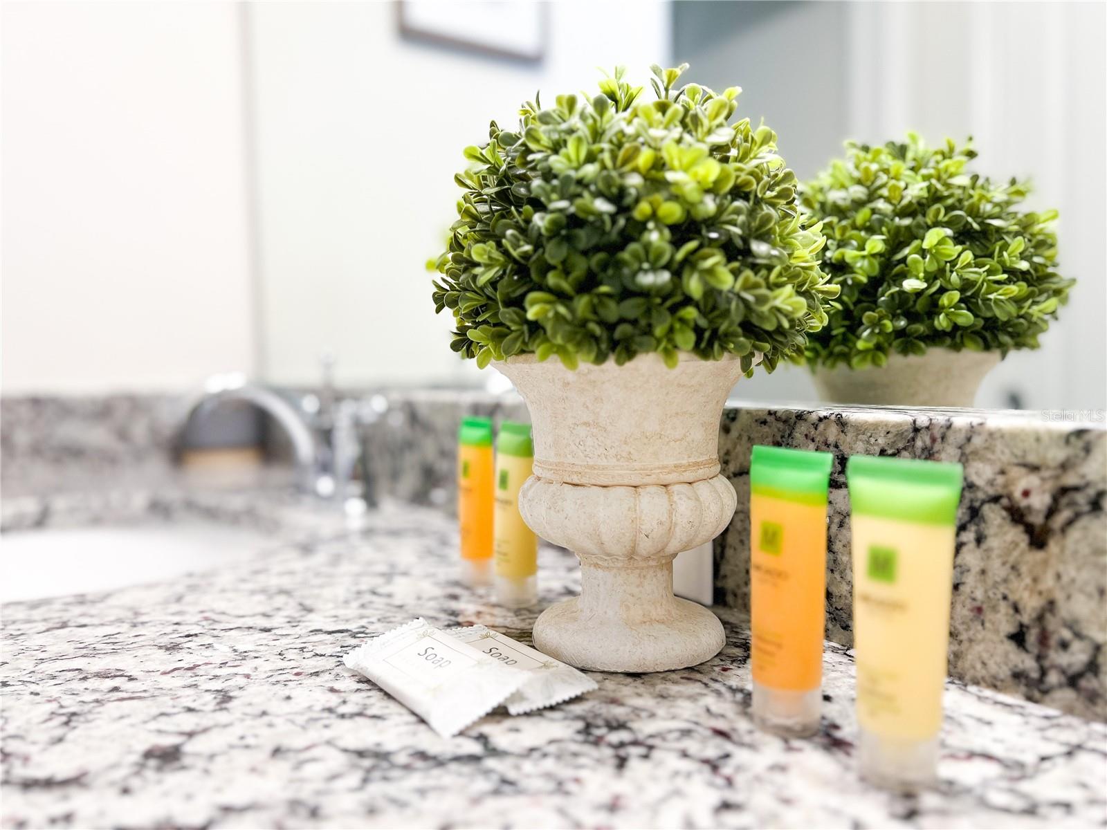 Image 43 of 56 For 2442 Dubai Street