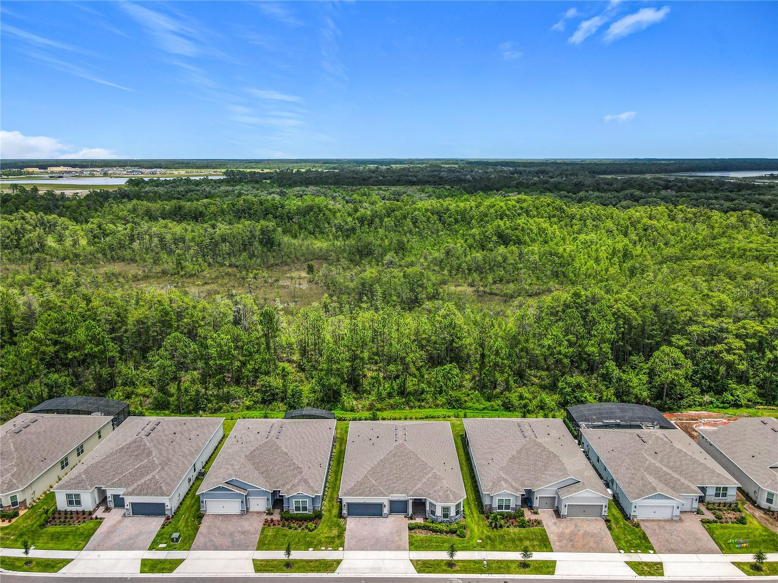 Image 3 of 97 For 2441 Pine Preserve Court